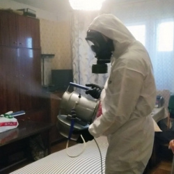 Дезинфекция от клопов в Новомичуринске
