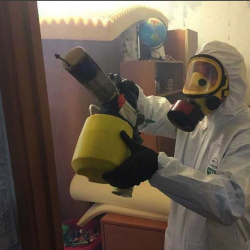 Уничтожение клопов в квартире. Новомичуринск